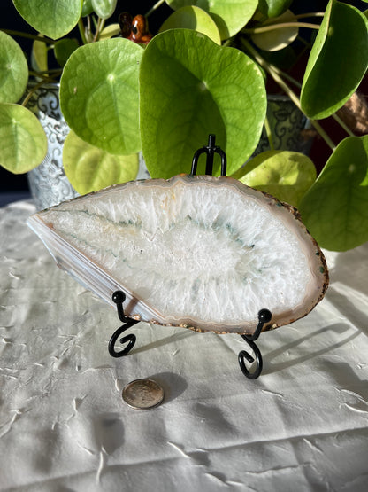 Blue Lace Agate Slab