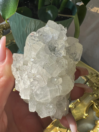 Apophyllite Raw