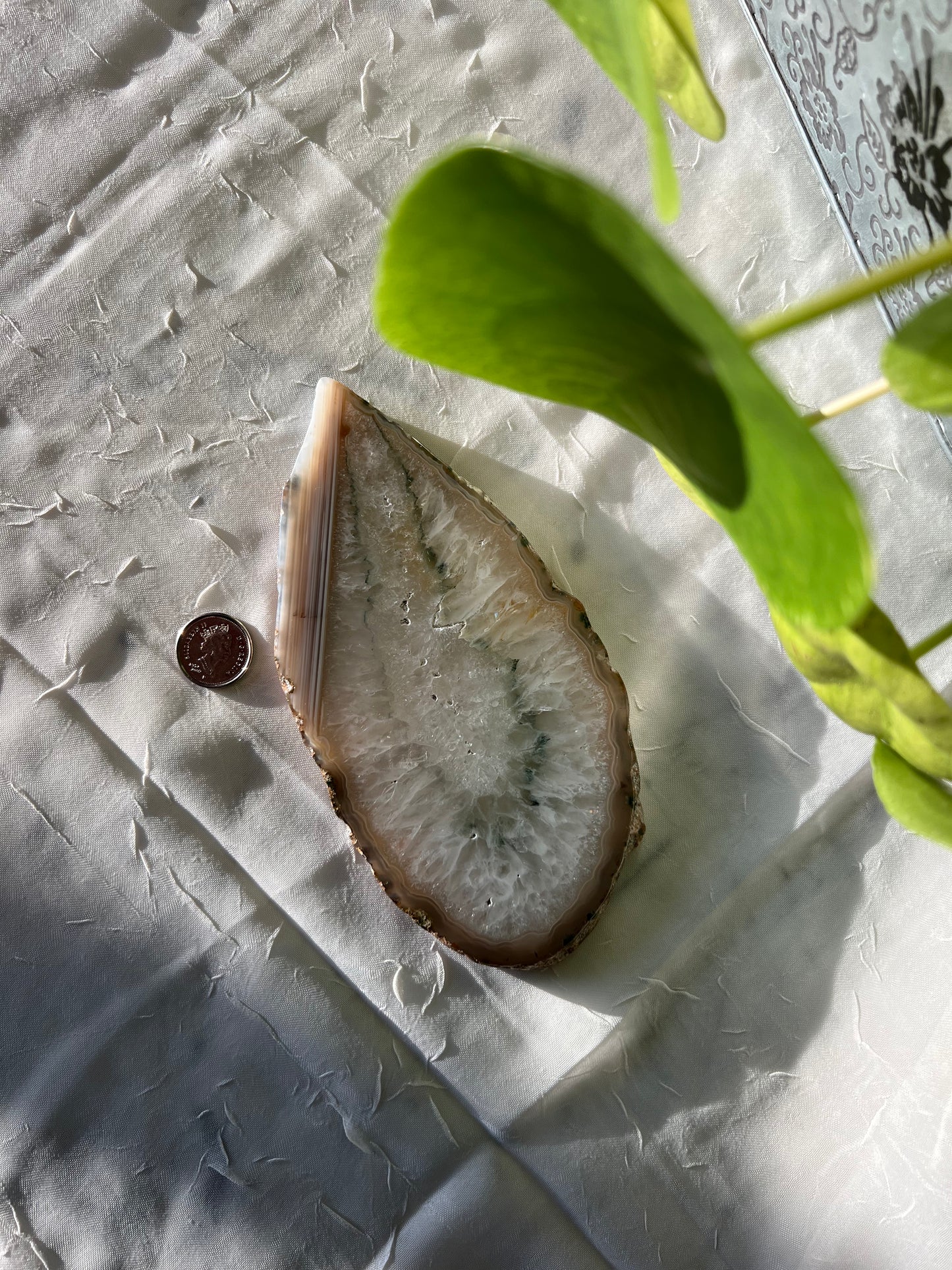 Blue Lace Agate Slab