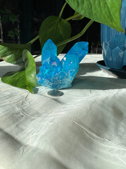 Blue Angel Aura Quartz