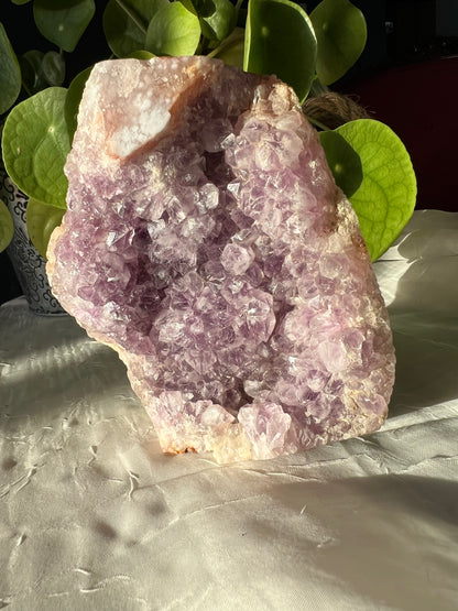 Flower Agate Amethyst Geode