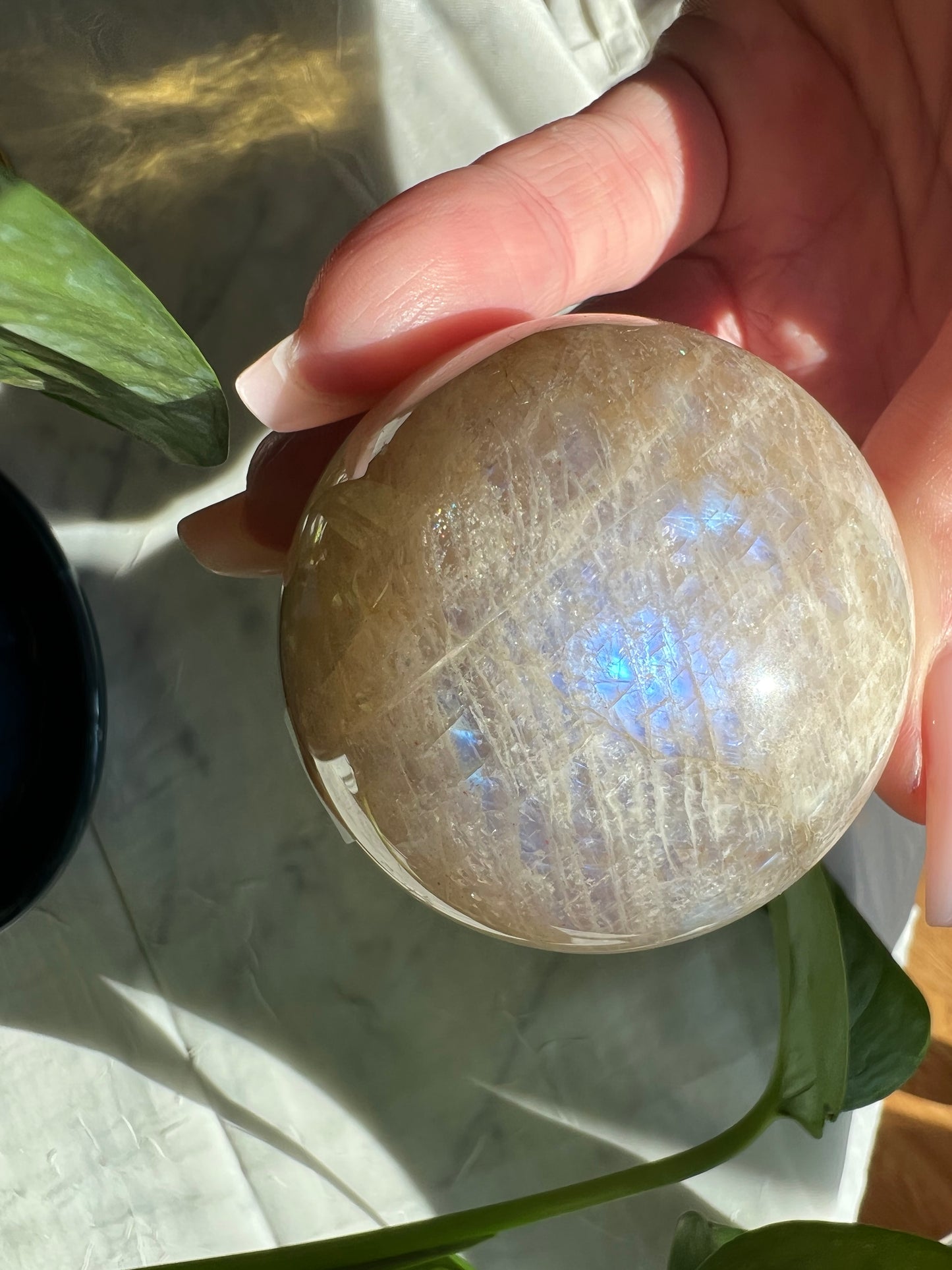 Blue Flash Moonstone