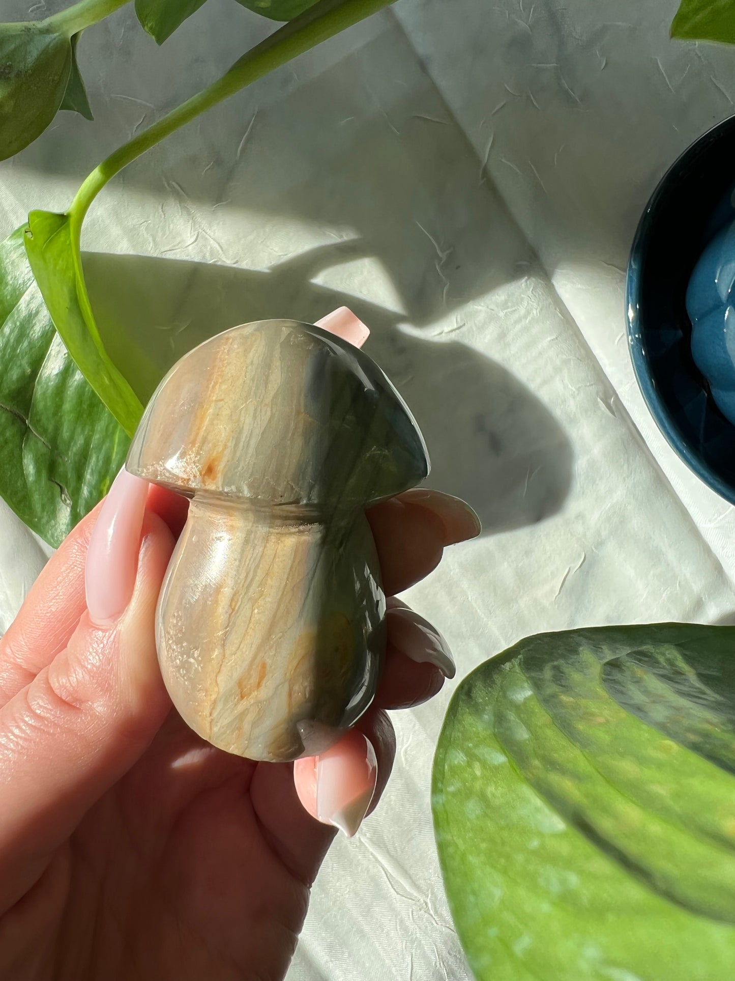 Ocean Jasper Mushroom