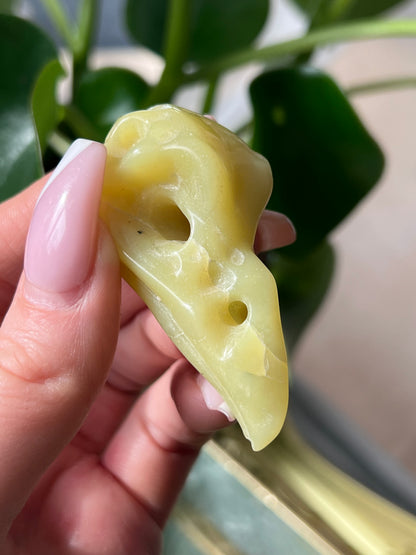 Yellow Jade Bird Skull