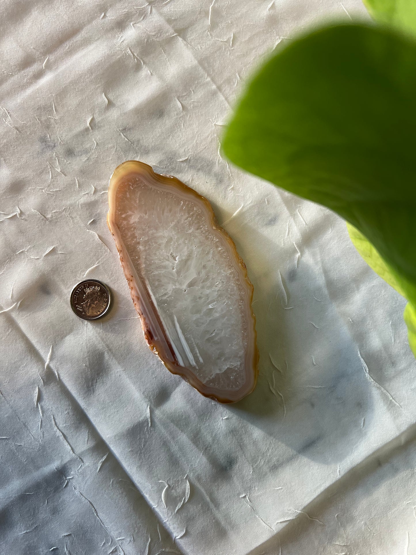 Blue Lace Agate Slab