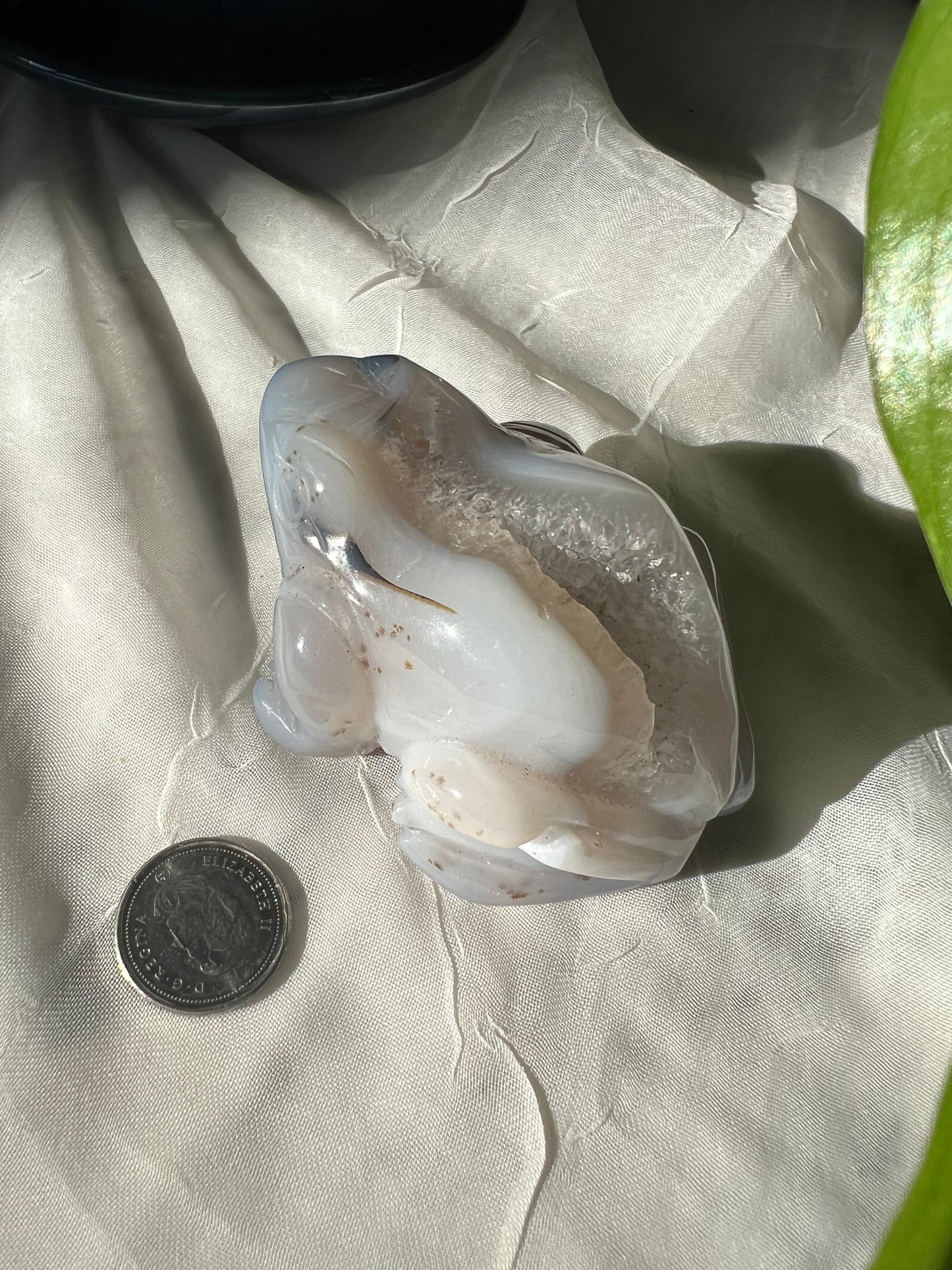 Blue Lace Agate Frog Geode