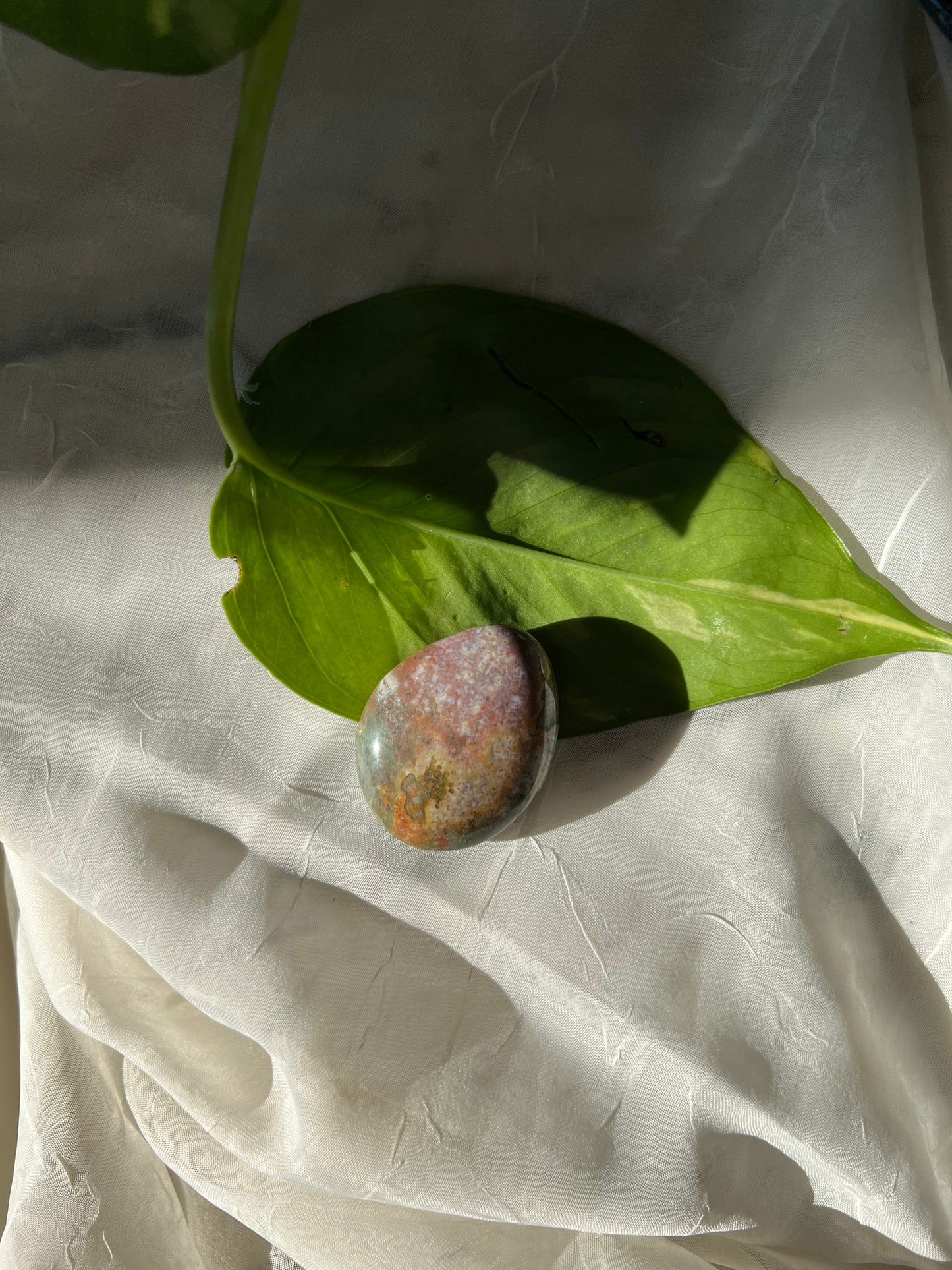 Ocean Jasper Palm Stone