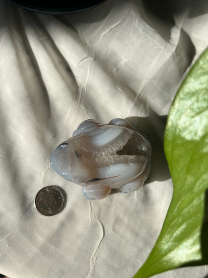 Blue Lace Agate Frog Geode