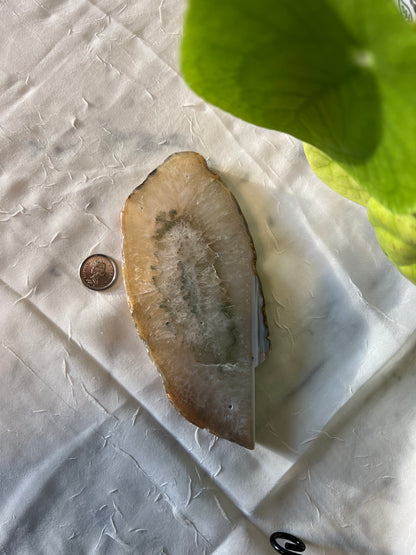 Blue Lace Agate Slab