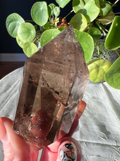 Smokey Quartz Freeform