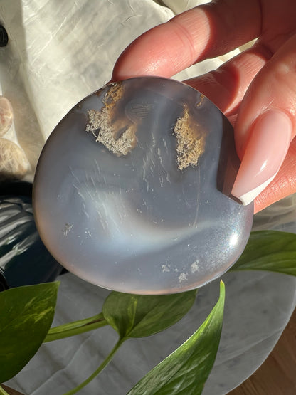 Blue Lace Agate Palm Stone