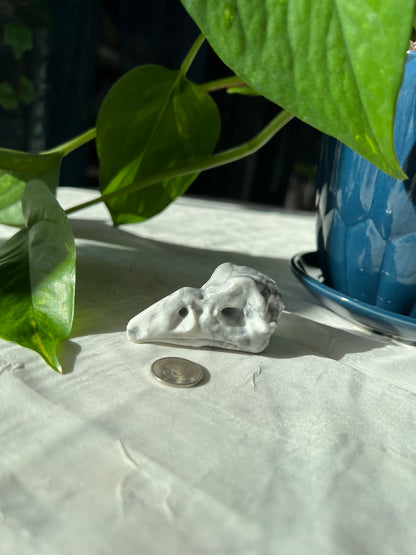 Howlite Bird Skull