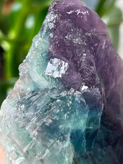 Fluorite Raw