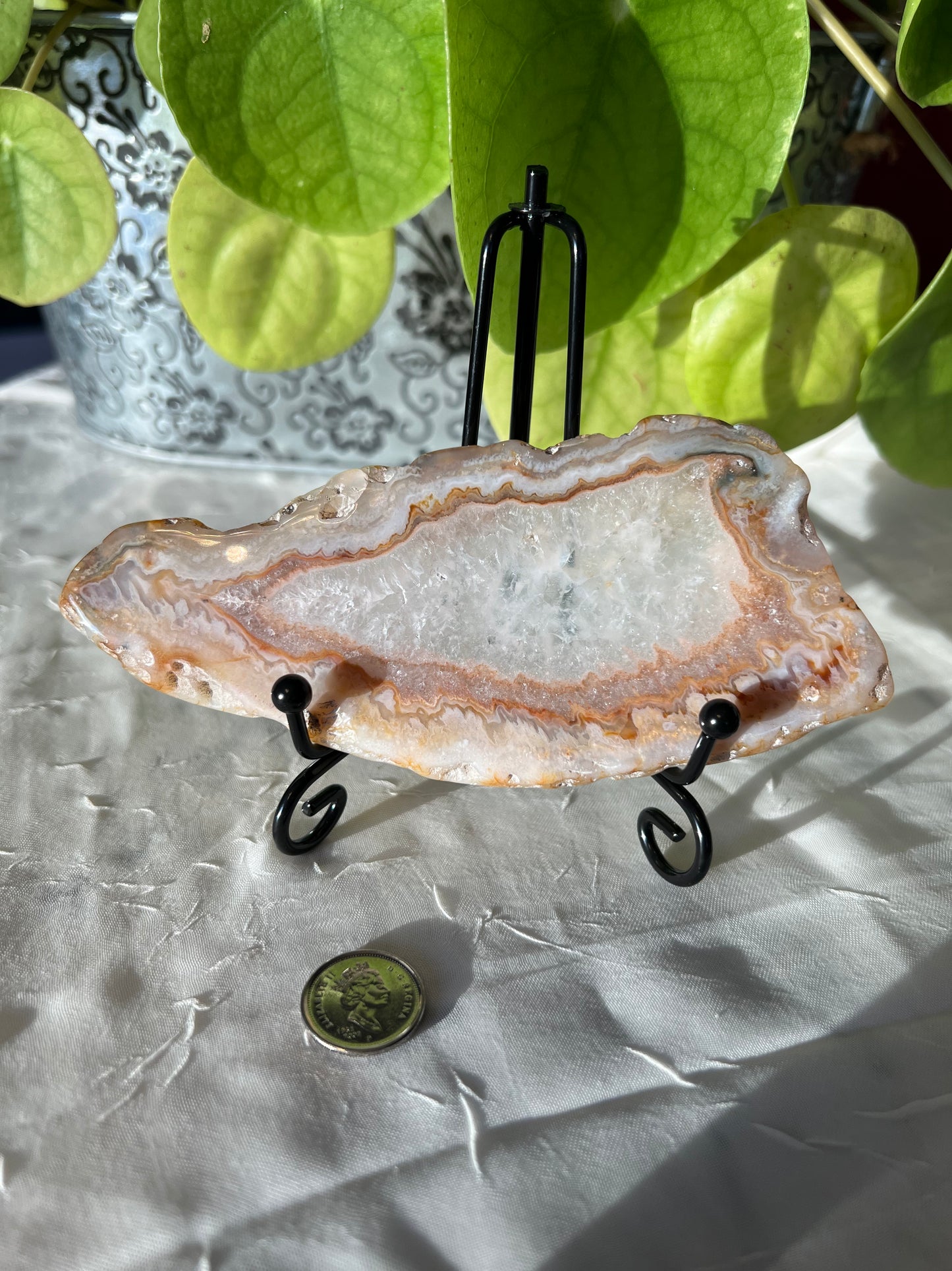 Blue Lace Agate Slab