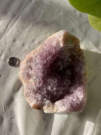 Flower Agate Amethyst Geode