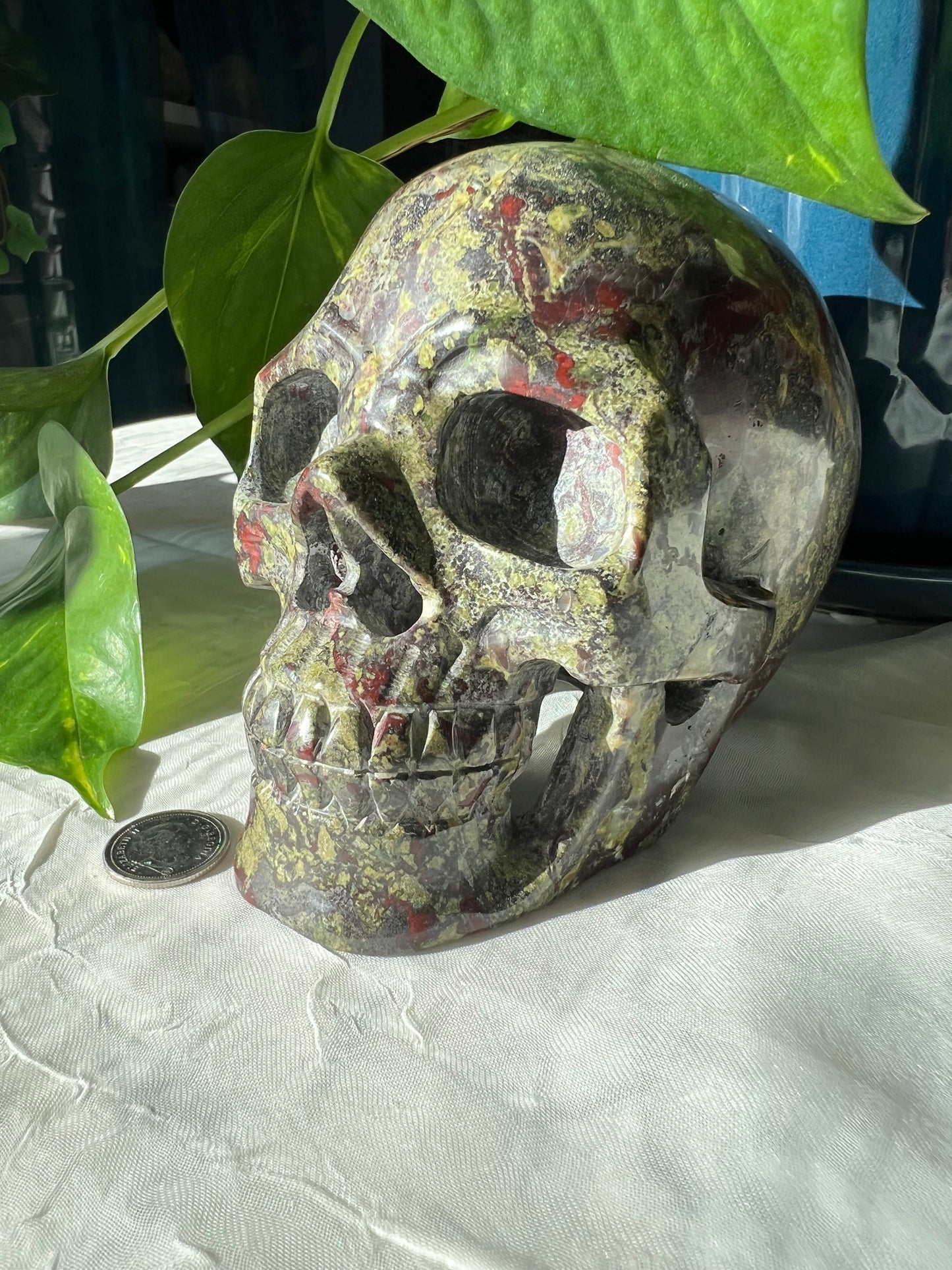 Dragon Blood Stone Skull