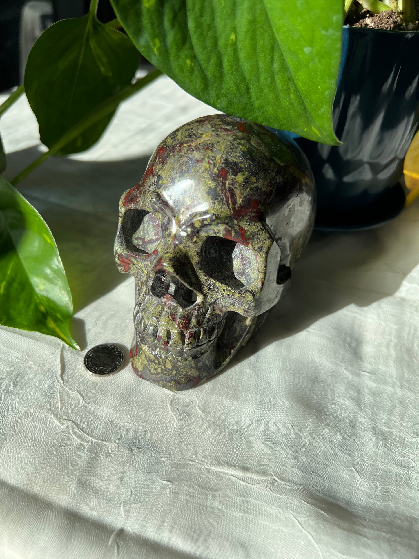 Dragon Blood Stone Skull